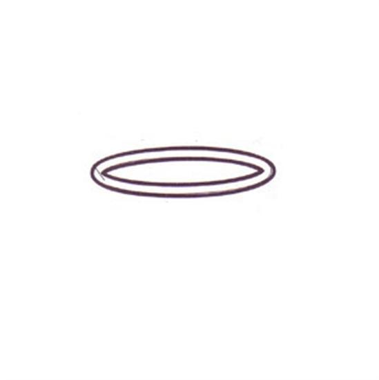 Hayward Super Pump 2 Housing Cover O-Ring