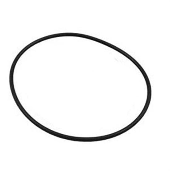 Hayward Super Pump 2 Housing Gasket