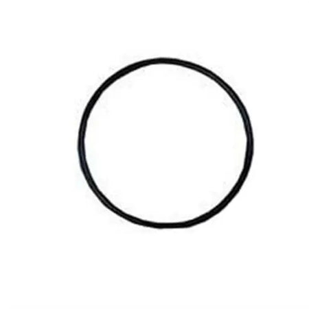 Hayward Super Pump II Strainer Cover O-Ring