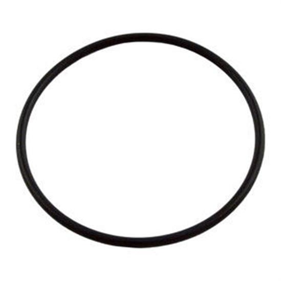 Hayward Union O-Ring End Connector