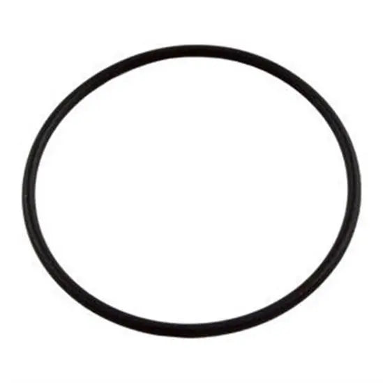 Hayward Union O-Ring End Connector