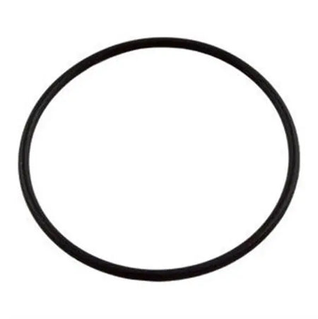Hayward Union O-Ring End Connector