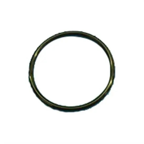 Hayward Union O Ring