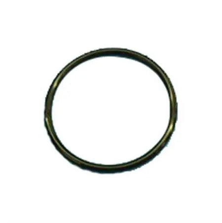 Hayward Union O Ring