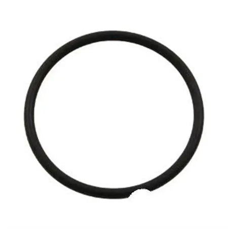 Hayward Union O-Ring