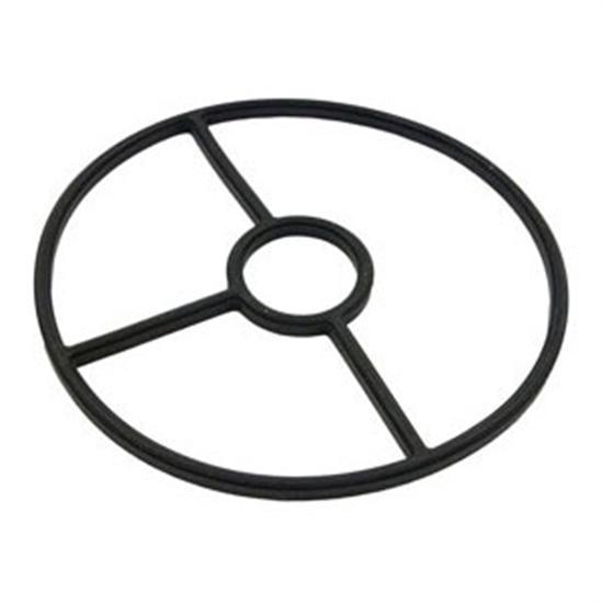 Hayward Valve Seat Gasket - Spoke