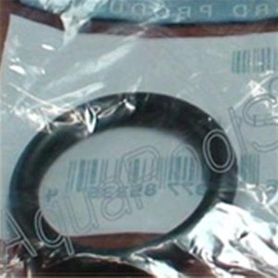Hayward Viper-Phantom Wall Quick Connect O-ring - AX5010G10