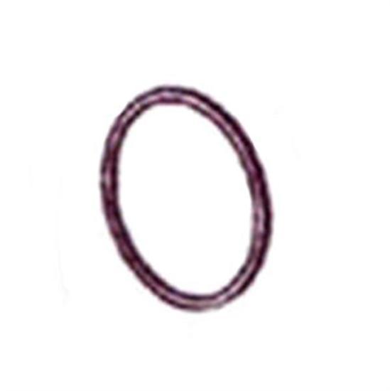 Jacuzzi Magnum O-Ring 47025853