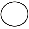 Jandy Energy Filter O-ring Kit - R0374500