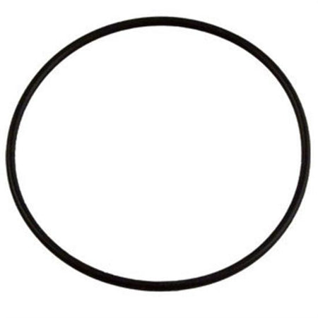 Jandy Energy Filter O-ring Kit - R0374500