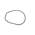 Jandy Housing Gasket