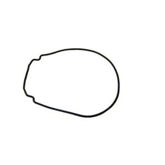 Jandy Housing Gasket