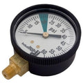 Jandy Ray-Vac Pressure Gauge