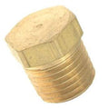 Laars 1/4" Brass Plug