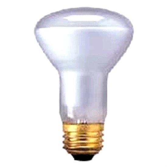 Light Bulb 12V 100W R20