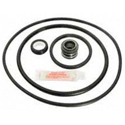 PacFab Pinnacle Pool Pump Rebuild Kit