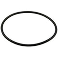 Pentair 192320 Pac Fab Bulkhead O-Ring