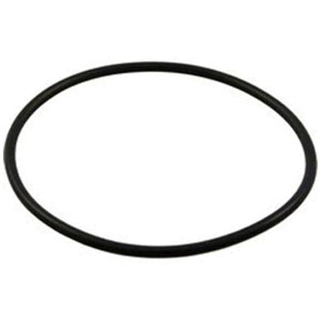 Pentair 192320 Pac Fab Bulkhead O-Ring