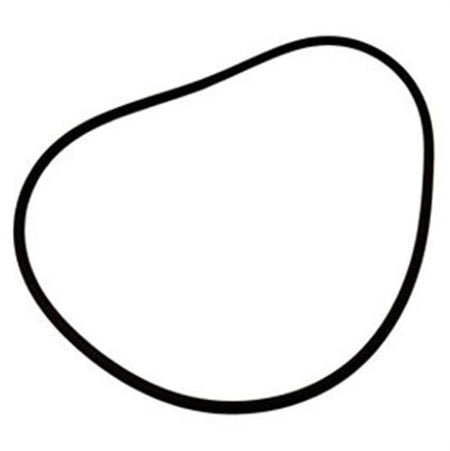 Pentair 355329 Pacfab O-Ring