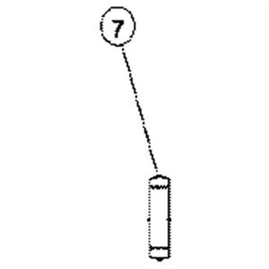 Pentair American Nut Bulb Assembly