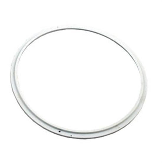 Pentair American Seal Lens