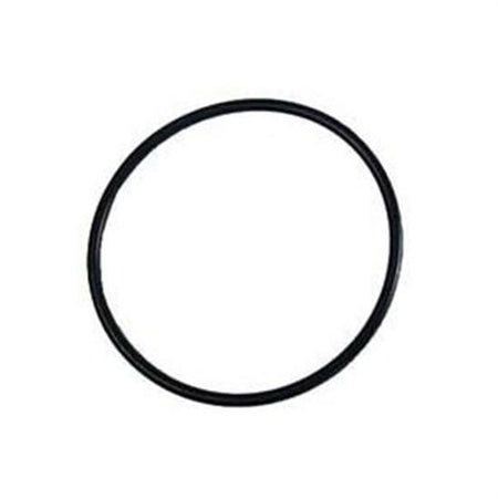 Pentair American Ultra Flow Strainer Pump Lid O-Ring