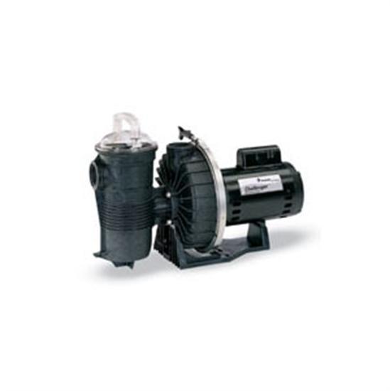 Pentair Challenger 2HP 2-Speed Up-Rated Pool Pump