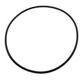 Pentair Cover O-Ring Aq-Wff