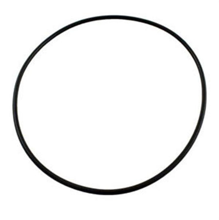 Pentair Cover O-Ring Aq-Wff