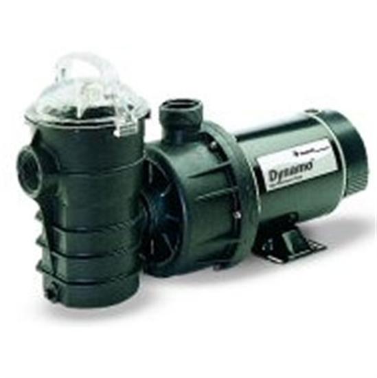 Pentair Dynamo 3/4 HP Abv-grnd Pool Pump
