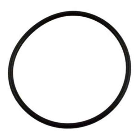 Pentair Lid O-Ring for WhisperFlo Challenger Pinnacle & IntelliFlo