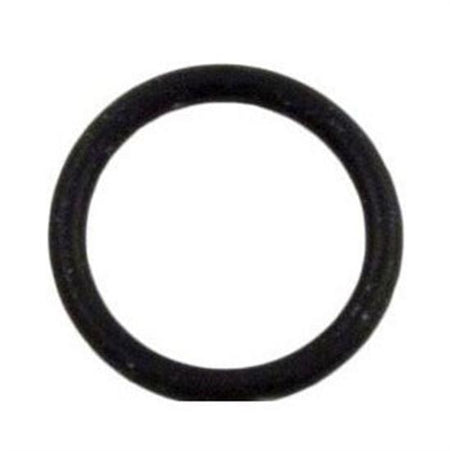 Pentair O-Ring Valve Stem 2" - O71