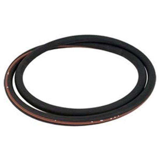 Pentair P24225 Purex O-Ring