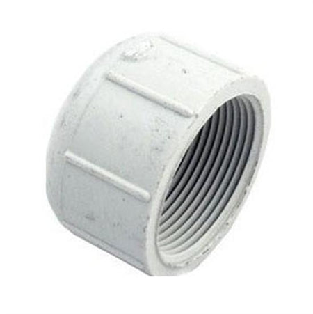 Pentair PacFab 1 1/2" Threaded Cap TR Filter