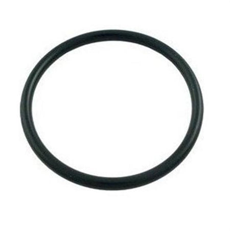 Pentair PacFab Bulkhead O-Ring