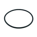 Pentair PacFab Dynamo Lid O-Ring - O231