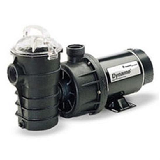 Pentair PacFab Dynamo Pump 1.5HP 115V With 3' Cord - 1.5" FTP