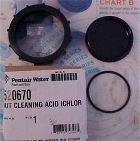 Pentair PacFab Intellichor Acid Cleaning Kit