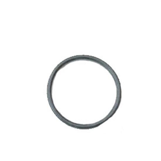 Pentair PacFab O-Ring