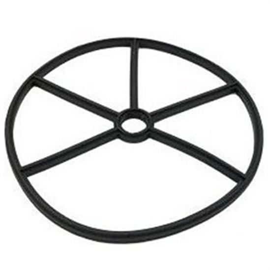 Pentair PacFab Spider Gasket Valve APCG416