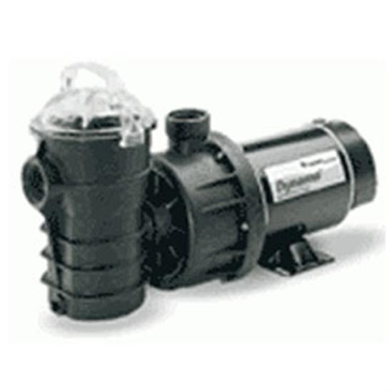 Pentair PacFab Two Speed 1HP 115V ABG Dynamo Pump With Switch 1.5" FPT