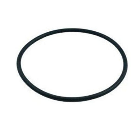 Pentair PacFab Valve O-Ring - O467