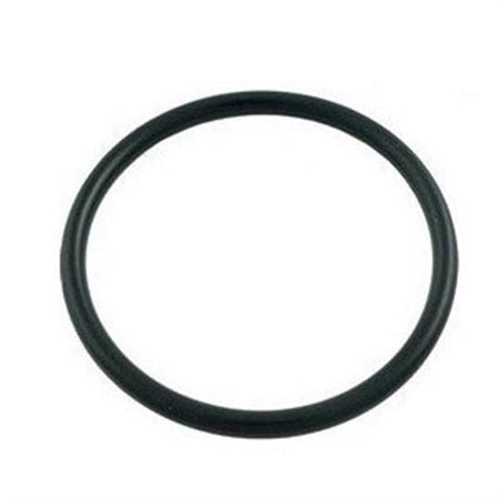 Pentair SuperFlo OptiFlo Pump O'Ring
