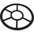 Pentair Valve Diverter Seal