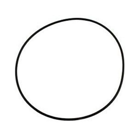 Pentair Valve Top O-Ring