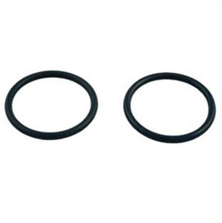 Pentair Wall Fitting O-ring  - E21