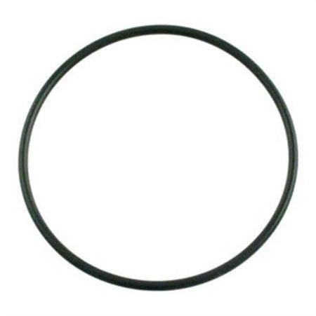 Pentair WhisperFlo Diffuser O-Ring