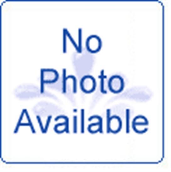 Polaris 280-380 Inline Filter Assembly - 48080