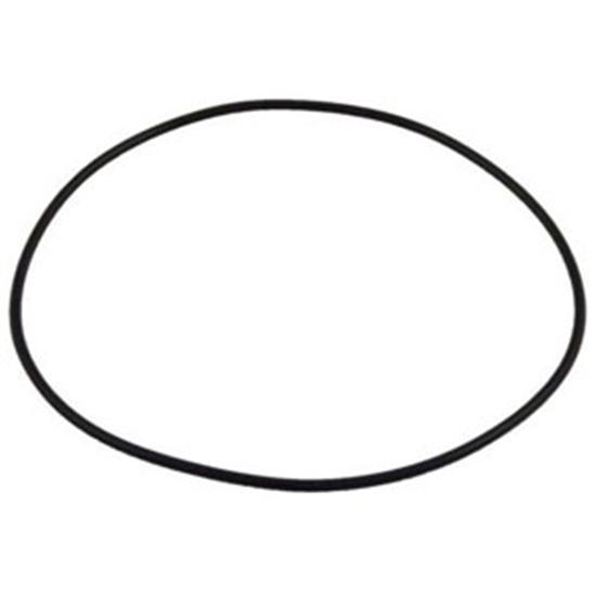 Polaris Pump Bracket O-Ring - O299