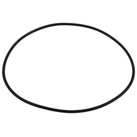 Polaris Pump Bracket O-Ring - O299